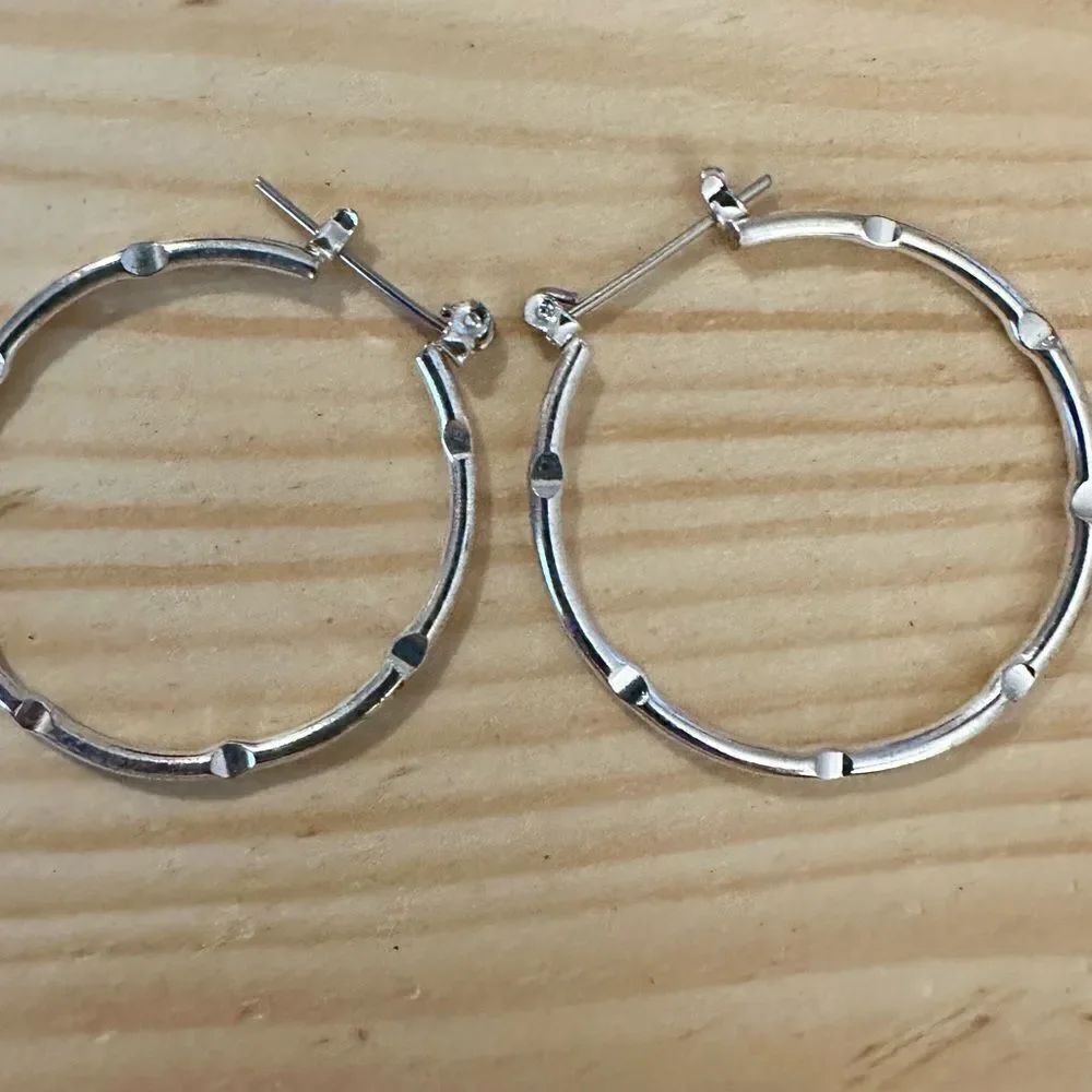 Elegant Silver Hoop Earrings